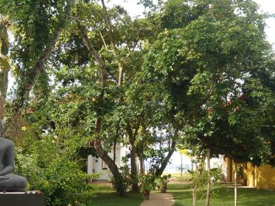 Muthumuni Ayurveda Beach Resort