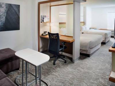 SpringHill Suites Savannah Downtown/Historic District