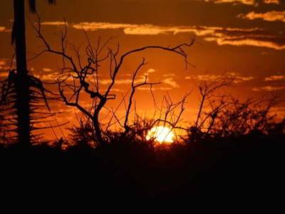 Chrismar Hotel Livingstone (Foto)