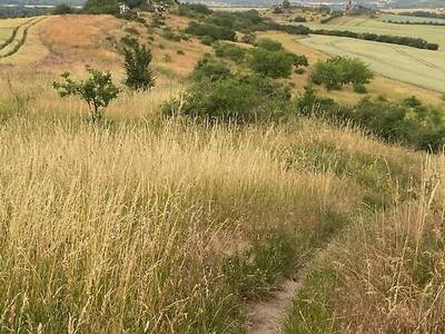 Land-gut-Hotel Warnstedter Krug