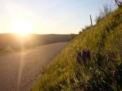 Hotel Zum Weissen Lamm