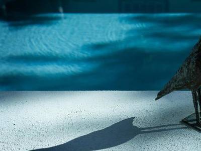 Akademie Street Boutique Hotel & Guesthouses