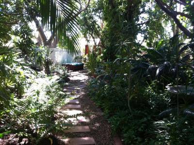 Pinctada McAlpine House