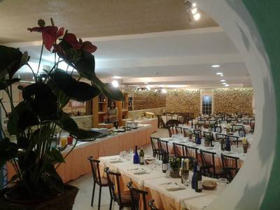 New Bristol Sport & Domus Mea