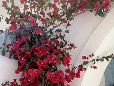 Sigma Studios on The Beach