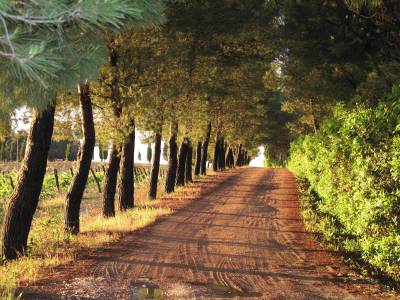 Agriturismo Colleverde