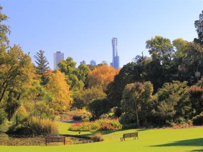 Art Series - The Cullen