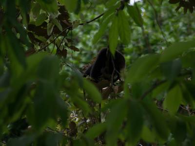 Hotel Byblos Resort & Casino