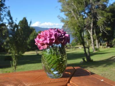 Casa del Lago Resort