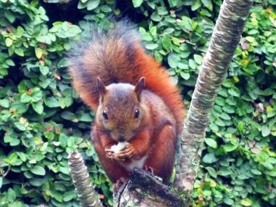 Hotel Poblado Campestre