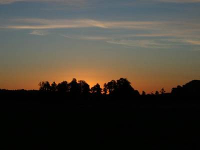 Bella Vista Motel Fox Glacier