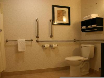 Hampton Inn Jericho - Westbury