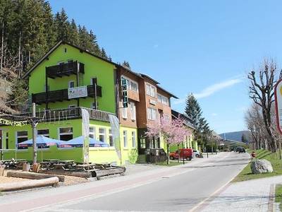 Action Forest Active