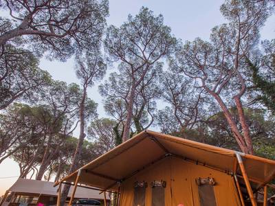 Camping Village Fabulous