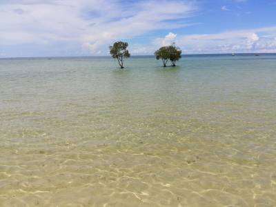 Microtel Inn & Suites by Wyndham Puerto Princesa, Palawan (Foto)