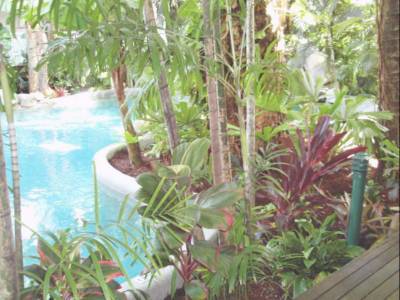 Palm Cove Tropic Apartments