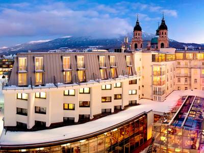 Grauer Bär Innsbruck