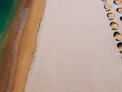 Hôtel Palm Beach (Foto)