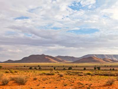 Hammerstein Lodge & Camp