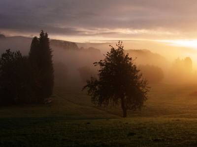 Ferienhotel Riesberghof