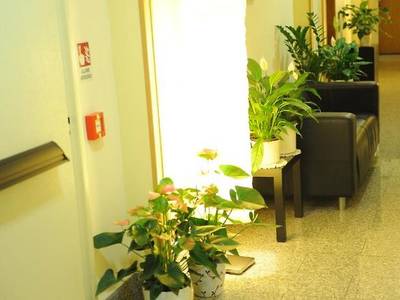 Lux Appartamenti - Apartment