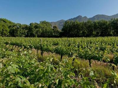 La Galinière Guest Cottages