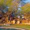 Intu Afrika Kalahari - Zebra Lodge / Camelthorn Lodge / Suricat