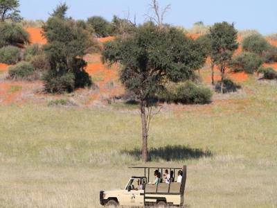Intu Afrika Kalahari - Zebra Lodge / Camelthorn Lodge / Suricat