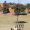 Intu Afrika Kalahari - Zebra Lodge / Camelthorn Lodge / Suricat