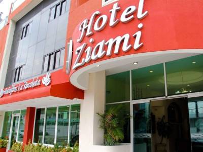 Hotel Ziami (Foto)
