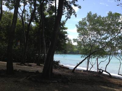 Playa Potrero Apartamentos (Foto)