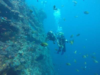 Ocean View Tulamben Dive And Resort