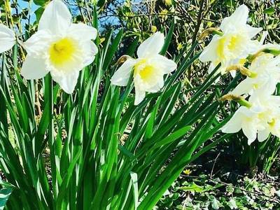 Lovesgrove Country Guest House