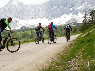 ApartHotel Holzerhof