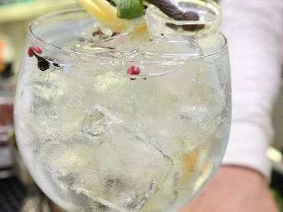 Corallo Marina Romea (Foto)