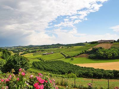 Fattoria La Quercia Rossa