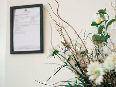 Aristotles North Shore