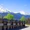 Maligne Lodge