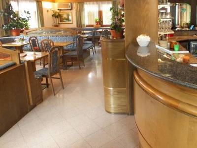 Orso Grigio Carisolo