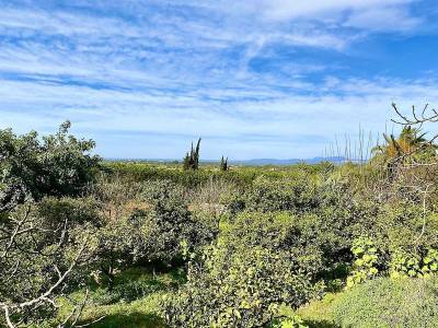 Hotel Rural Son Terrassa