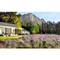 Lavender Farm Guest House