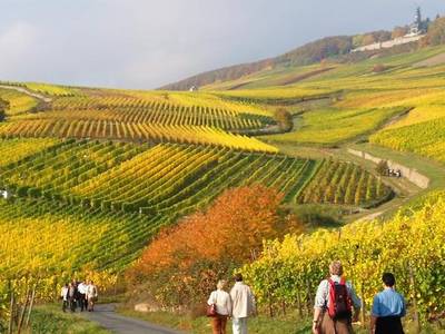 Brühl‘s Hotel Trapp