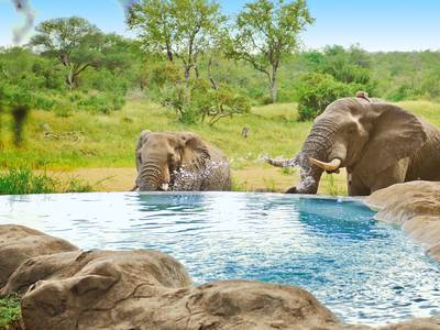 Motswari Private Game Lodge