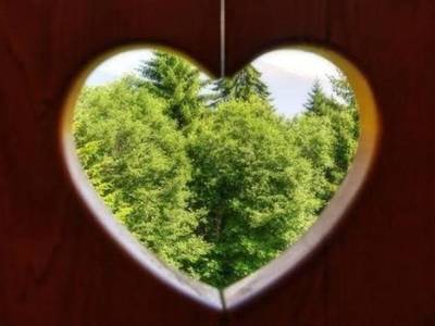 Hotel-Garni Dal Bracconiere