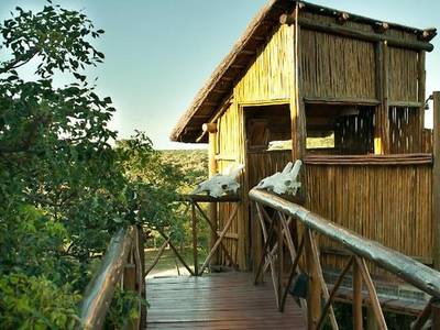 Pezulu Tree House Game Lodge