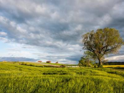 Palac Ciekocinko Hotel Resort & Wellness