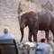 Namibia Wildlife Resorts - Okaukuejo Camp