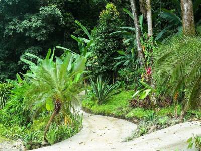 Tabulia Tree Hotel & Villas