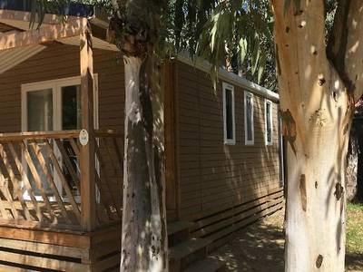 La Pinede Camping Calvi