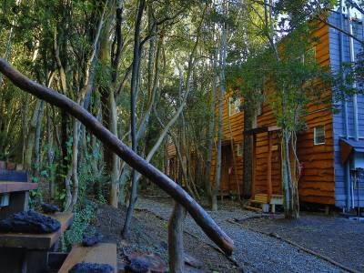 Cabanas Anulen Bosque Nativo
